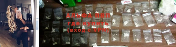 индика Армянск
