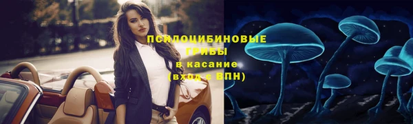 индика Армянск