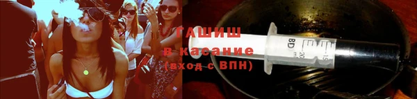 индика Армянск