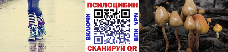Галлюциногенные грибы MAGIC MUSHROOMS Новая Ладога